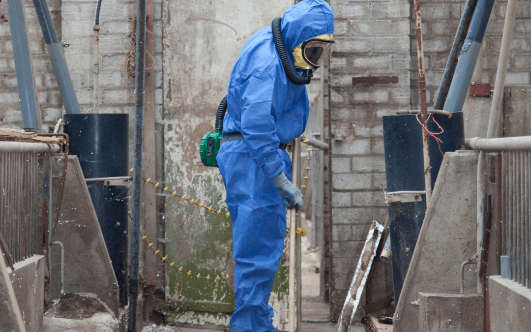 asbestos testing kit
